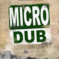 projeto micro dub